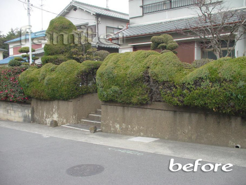 ��ե����೰���������ܹ���