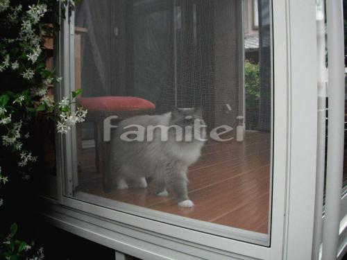 �ڥå��� ǭ����󥵥�롼��
