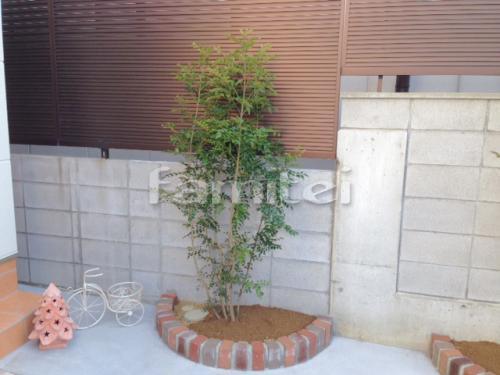 ����ܥ�ĥ꡼ ���ޥȥͥꥳ ���м� ����