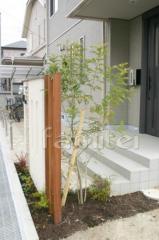 シンボルツリー 植栽:シマトネリコ