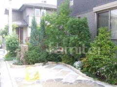 �մ�����