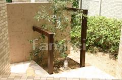 ���꡼�פ��ڡ����쥢���