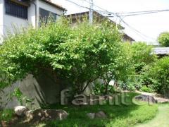 �մ���