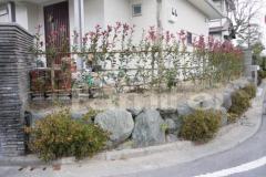 生垣 常緑レッドロビン