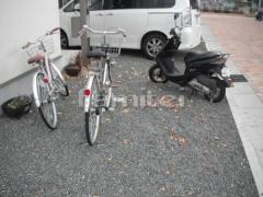 ��ե�������