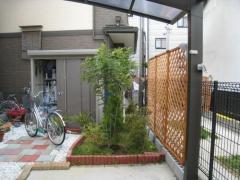 シンボルツリー