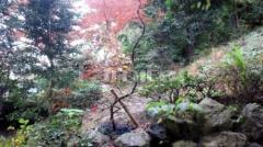 和風庭園
