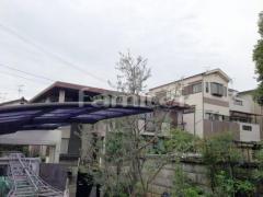 葉刈り剪定