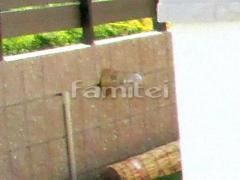 �ޥ��饤�� TAKASHO�������硼 �ޥ��饤�ȥ����ܥ��