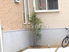 ����ܥ�ĥ꡼ ���ޥȥͥꥳ ���м� �����������ǥ���� TAKASHO�������硼 ����ץ륹�ݥåȥ饤��1�� �⥸�塼�륿����