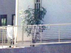 ����ܥ�ĥ꡼ ���ޥȥͥꥳ ���м� ����
