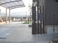 ���ؤޤ�� ���� ���� ���ץ�����
