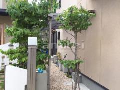 雨除け屋根 フラットテラス1階