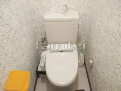 ���󥯼��ȥ��� ����˥� �Х�塼���꡼��