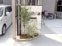 ���ؤޤ�� ���� ���ץ�����