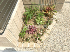 ピンコロ石花壇 下草 低木 植栽