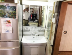 ���̲����� �Ρ���� �����ԡ��� ���̶� W75 