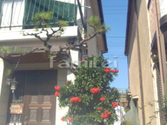 �մ��� ����