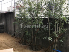 ����ܥ�ĥ꡼ ���饫�� ���м� ����