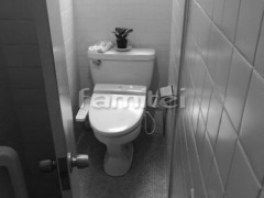 �ȥ��� �ܹ���