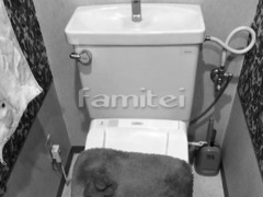 �ȥ��� �ܹ���
