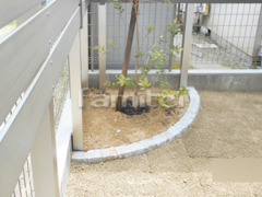 ピンコロ石花壇 シンボルツリー 常緑樹 フェイジョア 植栽 芝生張り 姫高麗芝