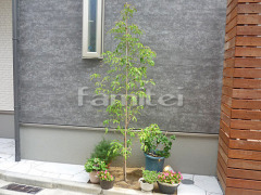 ����ܥ�ĥ꡼ �ۥ󥳥󥨥󥷥� ���м� ���� �����������ǥ�饤�Ⱦ��� Panasonic�ѥʥ��˥å� LGW45021SF