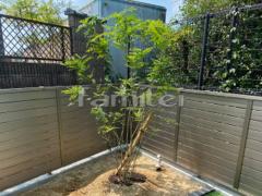 ����ܥ�ĥ꡼ ���ޥȥͥꥳ ���м� ���� �����������ǥ�饤�Ⱦ��� TAKASHO�������硼 �����ǥ󥢥åץ饤��M��