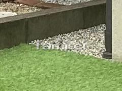 ���ڤ�� ���꡼��ե������ �ꥵ�����륨�å���