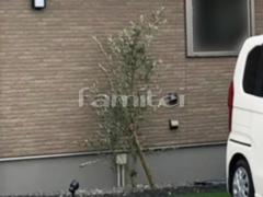 ����ܥ�ĥ꡼ ���꡼�� ���м� ����