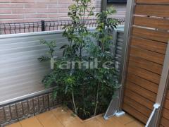 ����ܥ�ĥ꡼ ���ޥȥͥꥳ ���м� ����