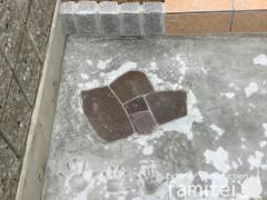  Ŵʿ��