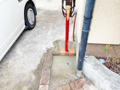 Ω���� ����꡼��� ���å��󥹥����ǥ������