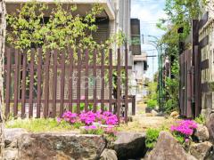 ��������� �ץ��ѡ��� �ĳʻ� �ҳ���