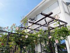 フル木製調テラス屋根 YKKサザンテラス パーゴラタイプ1階