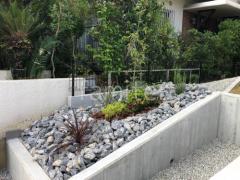 ゴロタ石敷き ロックガーデン 揖斐石 シンボルツリー 常緑樹 ホンコンエンシス 下草 植栽