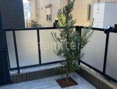 �ܱ����ե���ʽ YKKAP ����ץ쥪P1F�� �θ��ѥͥ� ����ܥ�ĥ꡼ ���꡼�� ���м� ����