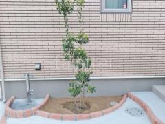 ����ܥ�ĥ꡼ ���襴 ���м� ���� ��󥬲��� ��˥��� ��������
