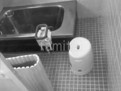 ����Ϥ �ܹ���