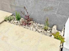 ロックガーデン 下草 植栽