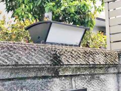 ���� Panasonic LGWJ56001U
