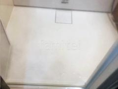 ����꾲