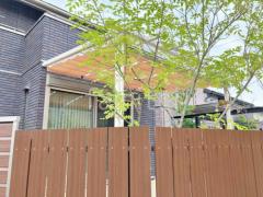 1階テラス屋根 (雨除け) YKKAP フル木製調 サザンテラス パーゴラタイプ フラット屋根 スタンダード 壁付