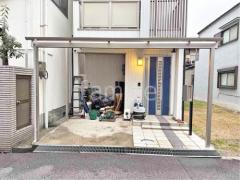 本体色 プラチナステン