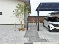 ��ǽ���� LIXIL FT ���إ��ץ����� ��������Ž�� �������硼 �����Х�� ����ܥ�ĥ꡼ �����ϥ�ߥ� ���ռ� ����