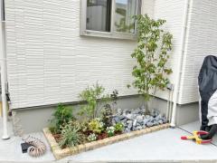 ピンコロ石花壇 ロックガーデン ゴロタ石 シンボルツリー ヤマボウシ 落葉樹 植栽